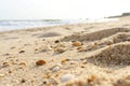 Sand beach closeup texture or background Royalty Free Stock Photo