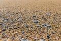 Sand beach closeup texture with pebbles Royalty Free Stock Photo