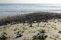 Sand beach covered with washed up seashells and seaweeds