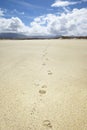 Sand beach with footprints at Donegal Ireland Royalty Free Stock Photo