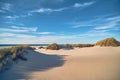 Sand and beach gras and dunes in northern Denmark