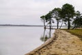 Sand beach lake in sanguinet village in Landes France