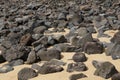 Sand beach with lava rocks in Fuerteventura