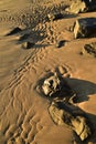 sand beach on Sea of Cortez, Baja, Mexico, low tide rock wave patterns Royalty Free Stock Photo