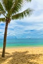 Sand beach with palm in Phu Quoc, Vietnam