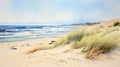 Sand beach sea landscape coast sky shore grass ocean nature background