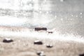 Sand beach with sea stones Royalty Free Stock Photo