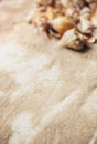 Sand on the beach and seashells in the background. Blurred background. Place for text