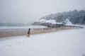 Sand Beach During a Snow Storm Royalty Free Stock Photo