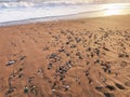 Sand beach surface with wet pebbles and white water waves with foam Royalty Free Stock Photo