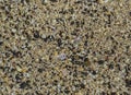 Sand beach texture with shells and small pebbles close-up Royalty Free Stock Photo