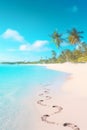 Sand_beach_turquoise_ocean_blue_sky_clouds_palm_1690445870368_3 Royalty Free Stock Photo