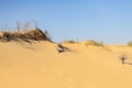 The sand in the biggest European desert. Summer. Oleshki, Kherson region in Ukraine. Concept of travelling, weekend, Kilometers of Royalty Free Stock Photo