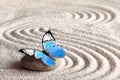 Sand, blue butterfly and spa stone in zen garden. Spa concept.