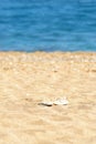 Sand blue sea and slippers Royalty Free Stock Photo