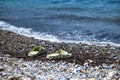 Sand, blue sea and white, green slippers. Focus on slippers. Turkiye resort Royalty Free Stock Photo