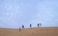 Sand boarding in the desert of Dubai
