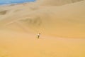 Sand-boarding fun on Atacama Desert, Oasis of Huacachina, Ica Region, Peru