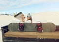 Sand boarding is more than a sport, its a lifestyle. a young woman unpacking her sand board from a 4x4 in the desert. Royalty Free Stock Photo