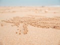 Sand Bubbler Crabs on sand seaside in nature. Home of a Ghost c Royalty Free Stock Photo