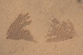 Sand Bubbler Crabs on sand seaside in nature. Home of a Ghost crab, sand bubbler crab leave mud balls around a hole on Royalty Free Stock Photo