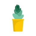 Sand cactus pot icon, flat style