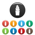Sand cactus pot icons set color