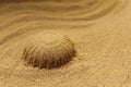 A Sand Cake in Waves of Sand Royalty Free Stock Photo