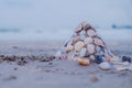 Sand castle on sandy beach with shells wall decorated