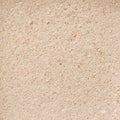 Sand for the Cat Litter. Natural Wooden Litter Top View. Toilet Particles. Macro. Organic Fuel. Wet Particles.