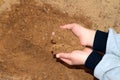 Sand in children`s hands. A child is playing in the sandbox Royalty Free Stock Photo