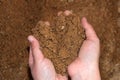 Sand in children`s hands. A child is playing in the sandbox Royalty Free Stock Photo