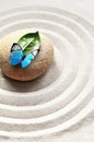 Sand, circles and stone. Green leaf and butterfly. Spa concept. Royalty Free Stock Photo