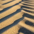 Of the sand is clearly visible, highlighting the small, individua Royalty Free Stock Photo