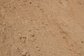 Sand closeup for construction material Royalty Free Stock Photo
