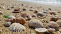 The sand is coarse with small pebbles interspersed among the shells Royalty Free Stock Photo