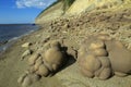 Sand concretions. Royalty Free Stock Photo