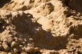 Sand on the construction site as a background Royalty Free Stock Photo