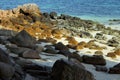 Sand Cost Rocks Reefs Shade Sunny Tropical Landscape