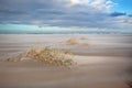 Sand Couch on stormy beach Royalty Free Stock Photo