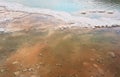 Sand covered with crystalline salt on shore of Dead Sea, clear calm water near - typical scenery at Ein Bokek beach, Israel. Royalty Free Stock Photo