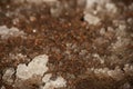 Sand covered with melted snow is macro, soft focus