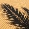 Sand create a textured surface, with the shadow adding contrast Royalty Free Stock Photo