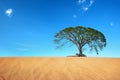 Sand desert with big tree in blue sky