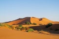 Sand desert dune in Sahara at sunset Royalty Free Stock Photo