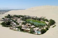 Sand desert dunes and green oasis