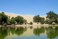 Sand desert dunes and green oasis Royalty Free Stock Photo