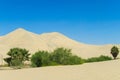 Sand desert dunes and green oasis Royalty Free Stock Photo