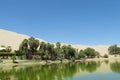 Sand desert dunes and green oasis with lake Royalty Free Stock Photo