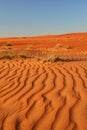 Sand desert landscape pattern